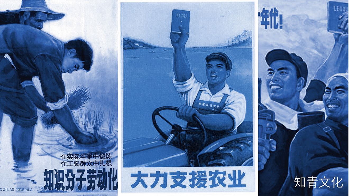 logo灵感来源